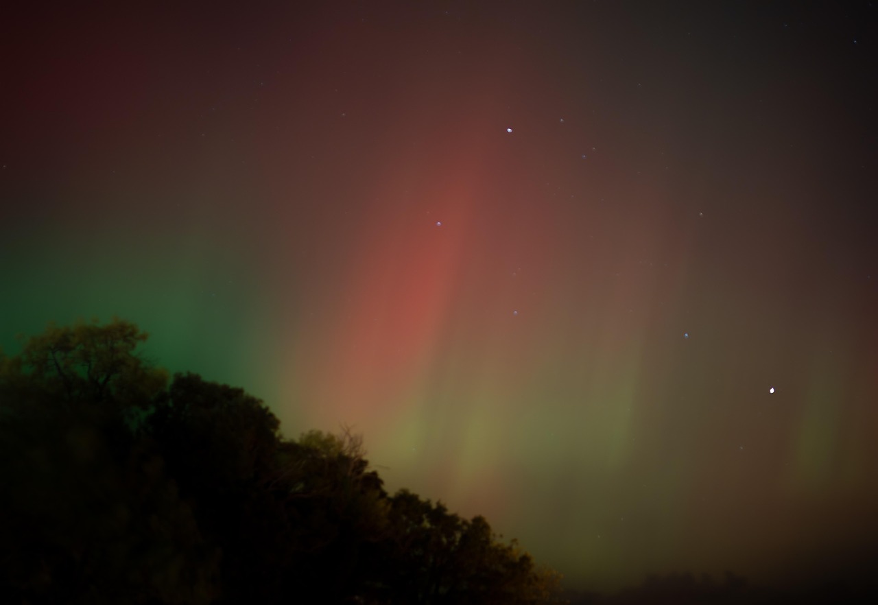 MORTA TRADICIONAL AURORA