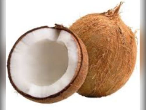 COCO SECO KG