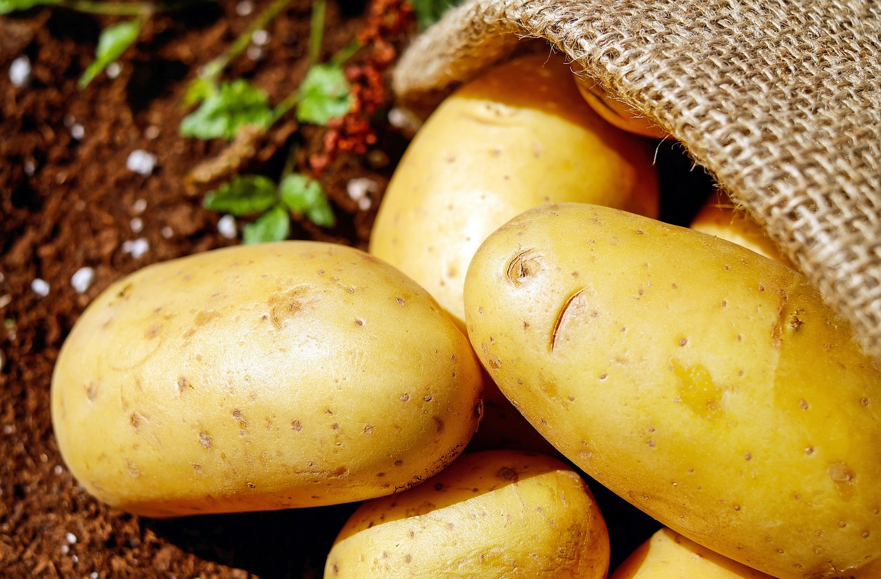 BATATA ASTERIX KG