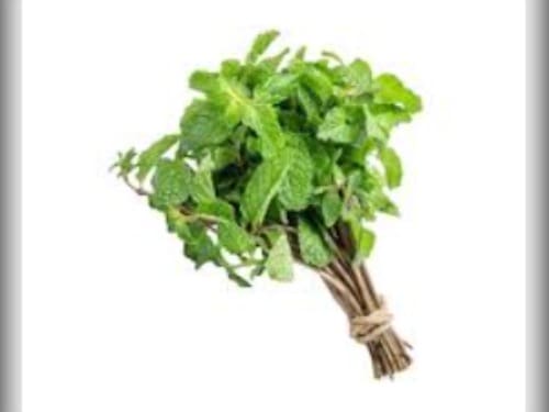 HORTELA UN