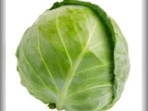 REPOLHO KG
