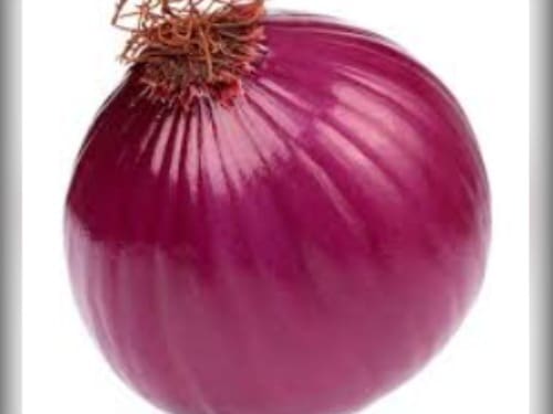 CEBOLA ROXA KG