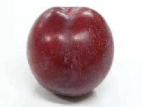 AMEIXA KG