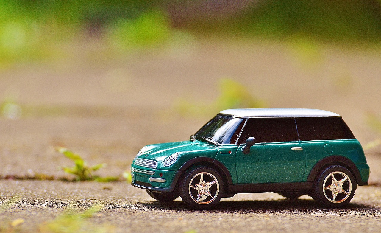 MINI VANDERLEIA