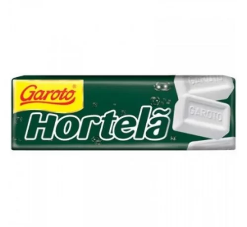 GAROTO PASTILHA HORTELA 17G