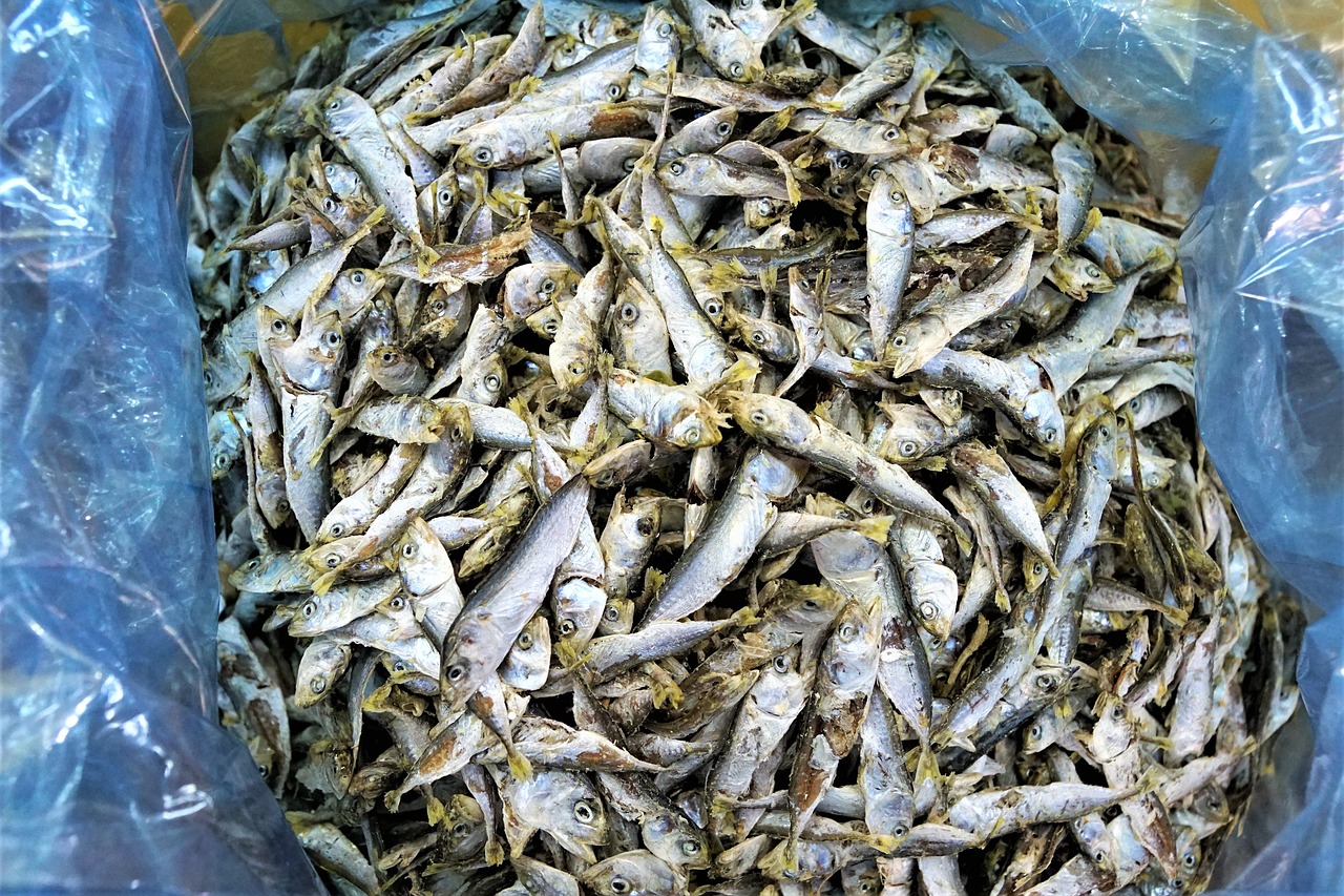 MINI SALGADO KG